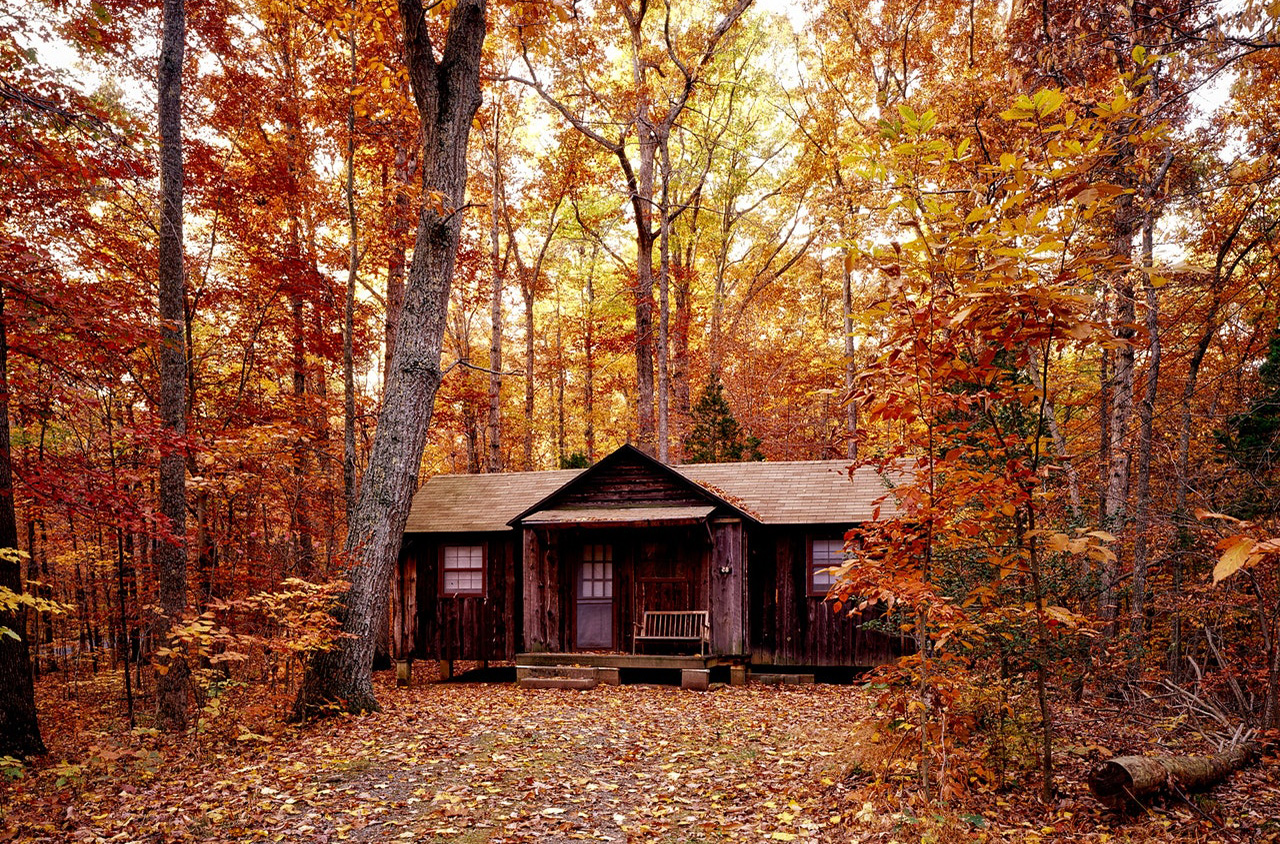 森の中の探検基地の写真
