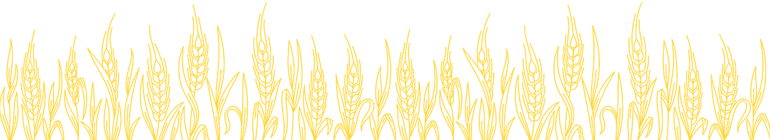 パンに大切な麦のイラスト